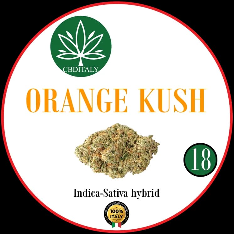 ORANGE KUSH CBD 18%