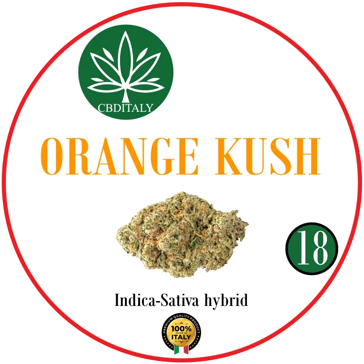 CBDITALY Orange Kush CBD 18% Indica-Sativa hybridi hamppukukka, 100% Italia