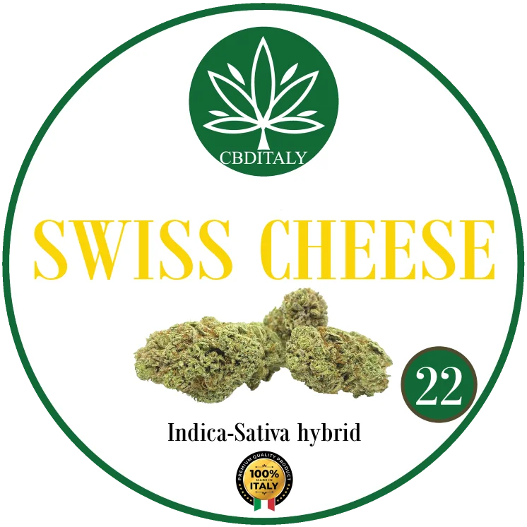 CBDITALY Swiss Cheese CBD 22% Indica-Sativa hybridi hamppukukka, 100% Italia