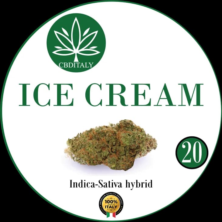 ICE CREAM BUD CBD 20%