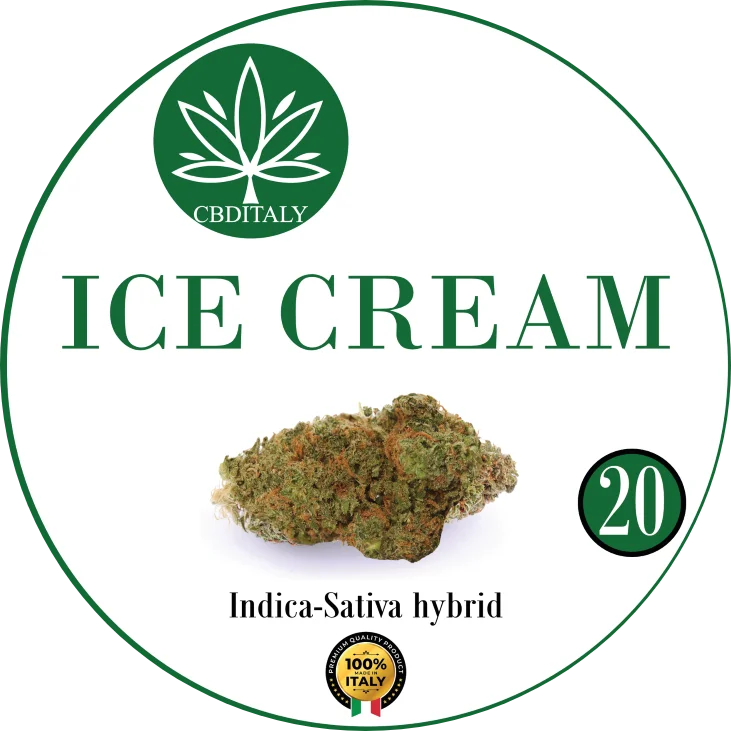 CBDITALY Ice Cream CBD 20% Indica-Sativa hybridi hamppukukka, 100% Italia