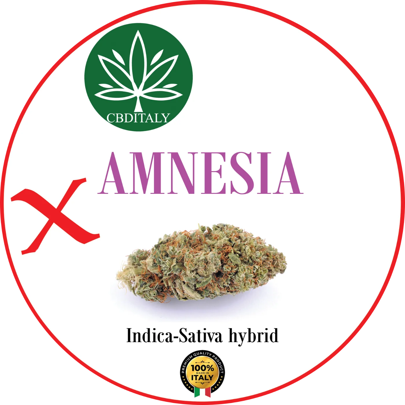 CBDITALY Amnesia X THCV 20% Indica-Sativa-hybridi hampunkukka runsailla trikomeilla, Italia