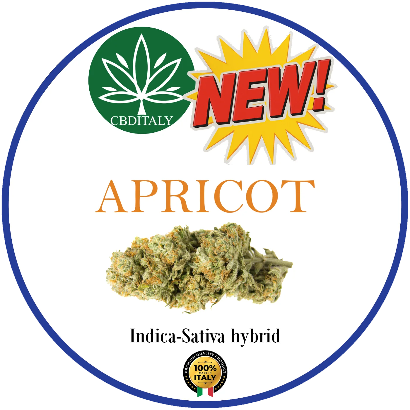 CBDITALY Apricot CBD 21% uusi Indica-Sativa-hybridi hampunkukka, valmistettu Italiassa