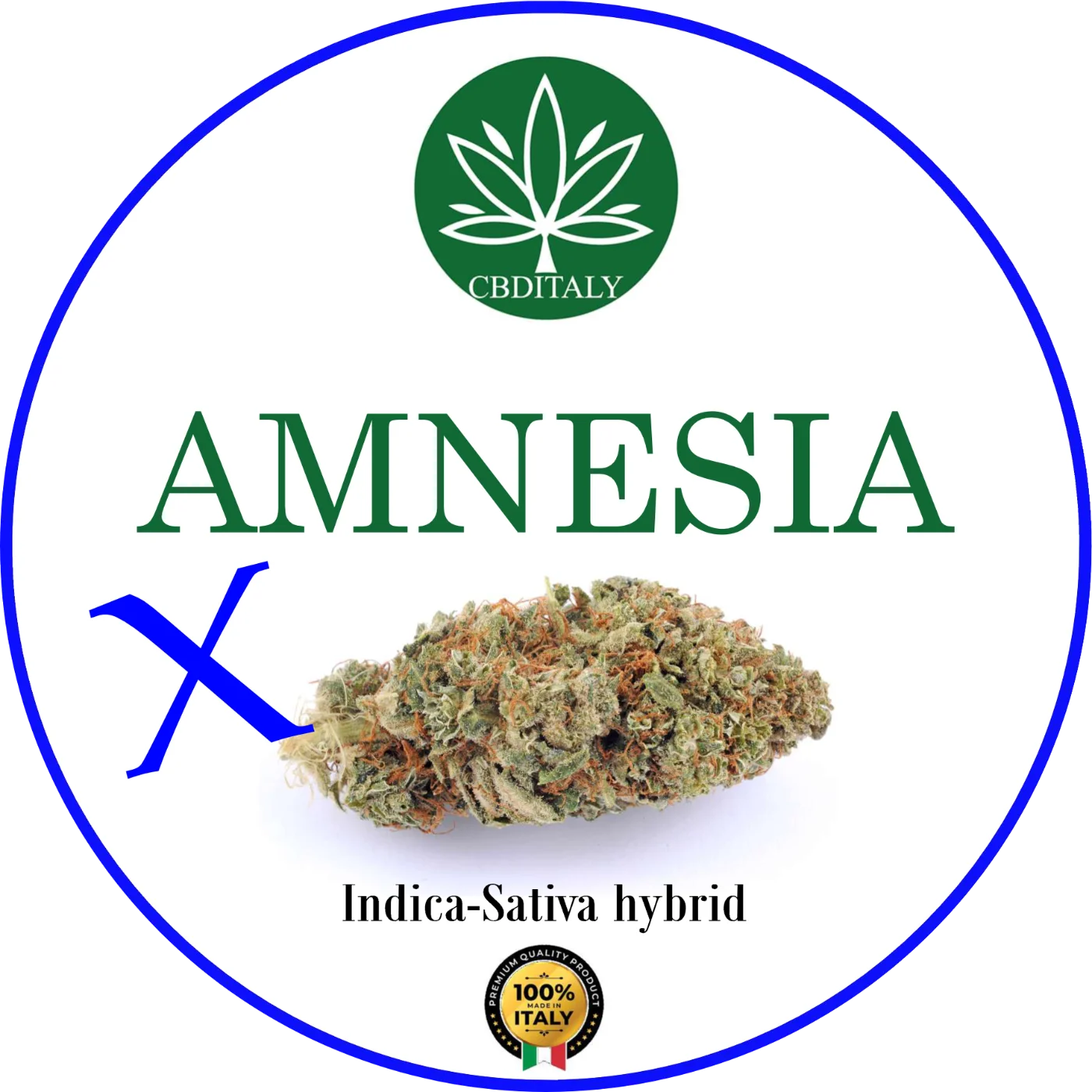 CBDITALY Amnesia CBD – pitkänomainen Indica-Sativa-hybridi hamppukukka meripihkanvärisillä pistileillä, 100% valmistettu Italiassa