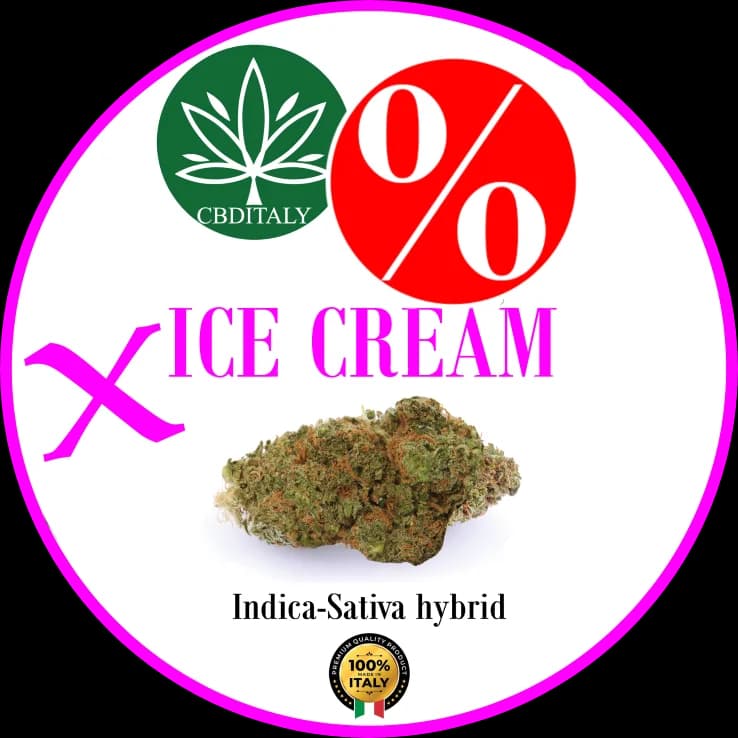 ICE CREAM X THCV 20% 10g *OUTLET
