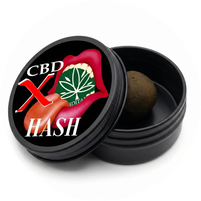 CBD X HASH