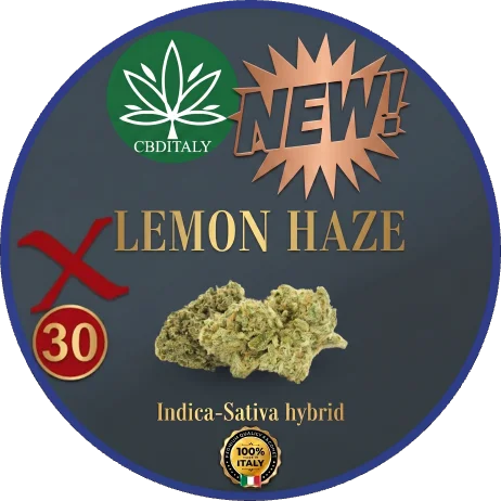 Lemon Haze X