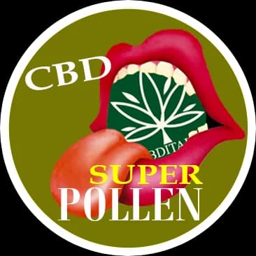SUPER POLLEN CBD