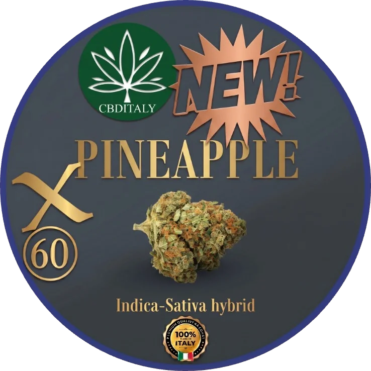 Pineapple X