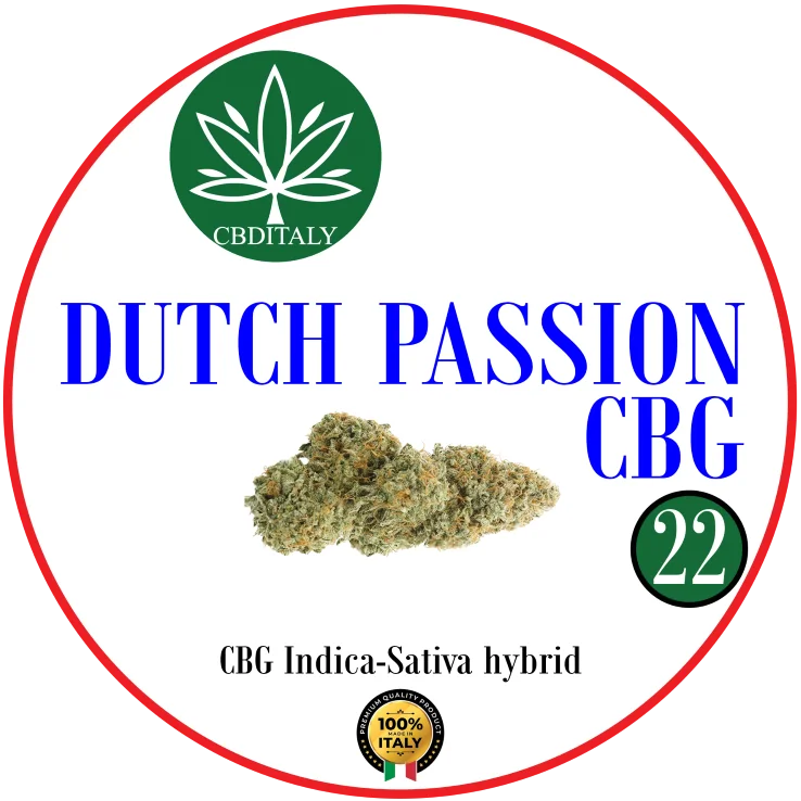 CBDITALY Dutch Passion CBG 22% Indica-Sativa hybridi hamppukukka, 100% Italia